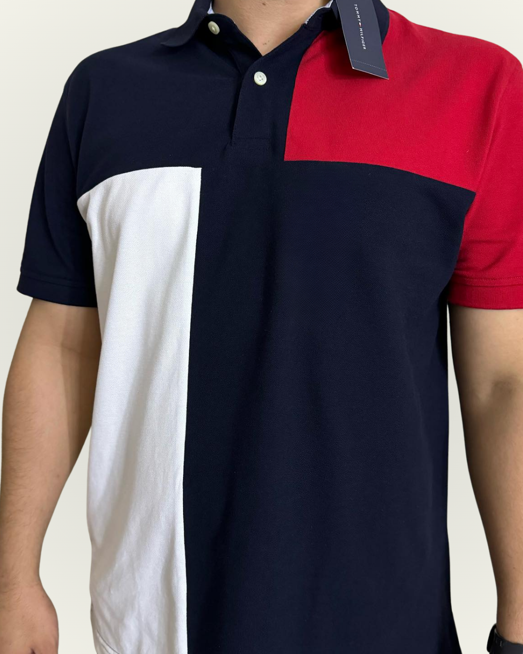 Polo Tommy Hilfiger multicolor